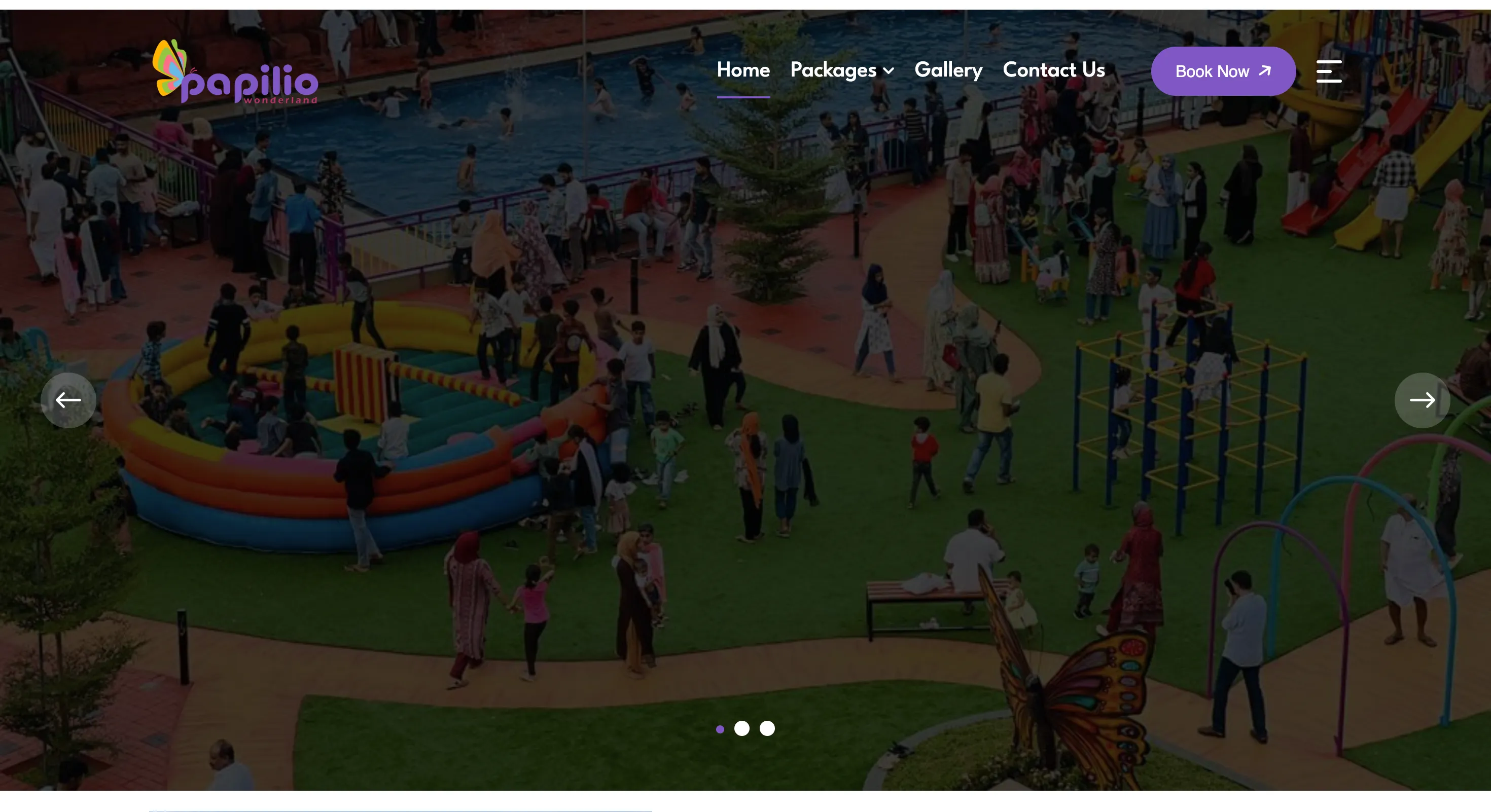 Family entertainment park and resort website design by Grovix